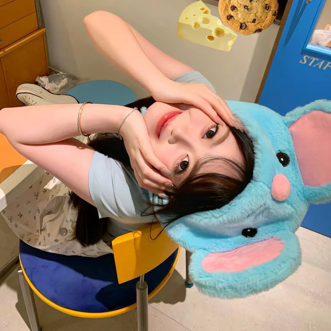 巅峰拍档第二十五季